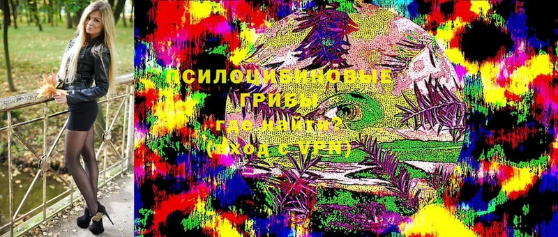 Псилоцибиновые грибы MAGIC MUSHROOMS Бирюч